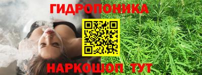 сатива Краснознаменск