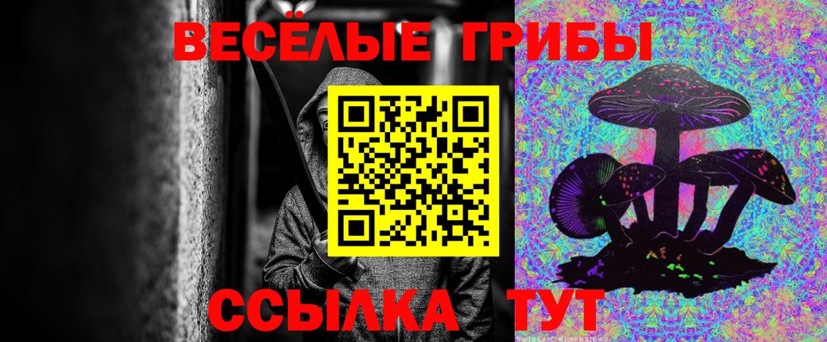 Псилоцибиновые грибы ЛСД  Вход с VPN  Галлюциногенные грибы Psilocybine cubensis  Керчь 