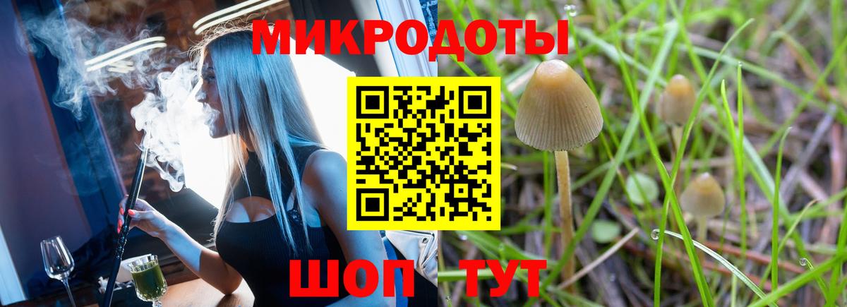 Галлюциногенные грибы Керчь